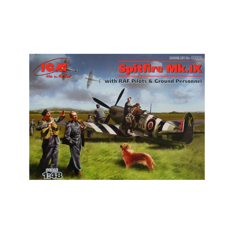 Spitfire Mk.IX with RAF pilots & ground personnel