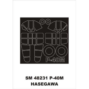 P-40M / Hasegawa