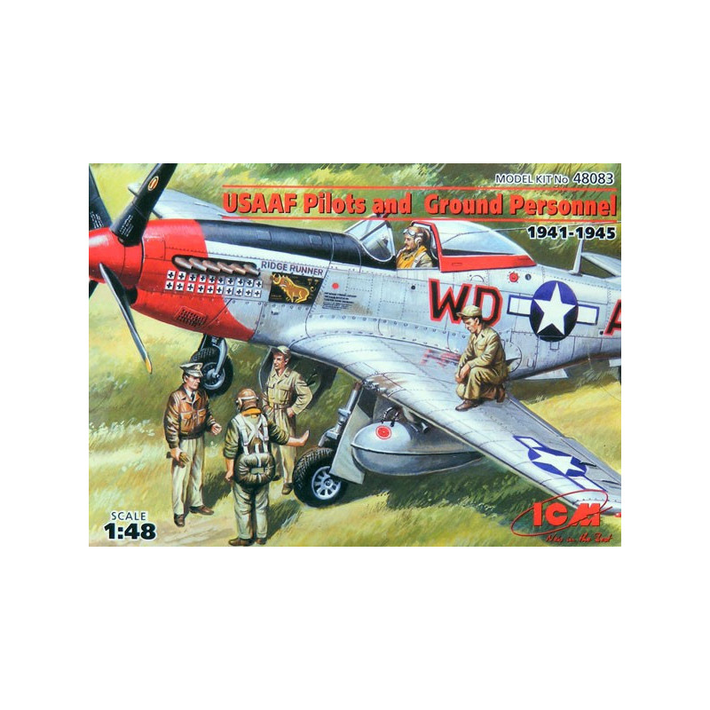 WWII US Pilots and Technics