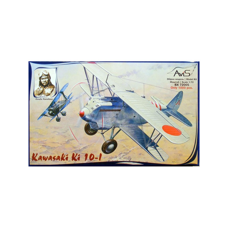 Kawasaki Ki-10-I WWII Japan fighter