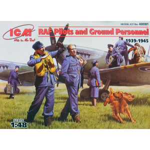 WWII RAF pilots and ground personnel