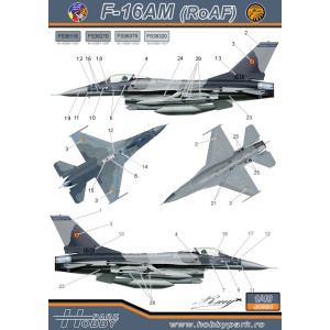 Decal 1/48 F-16AM/BM (F.A.R.)