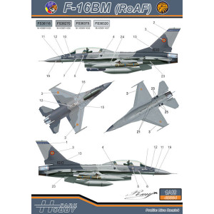 Decal 1/48 F-16AM/BM (F.A.R.)