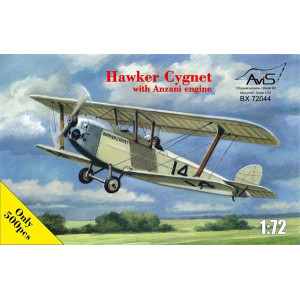 awker Cygnet with Anzani engine