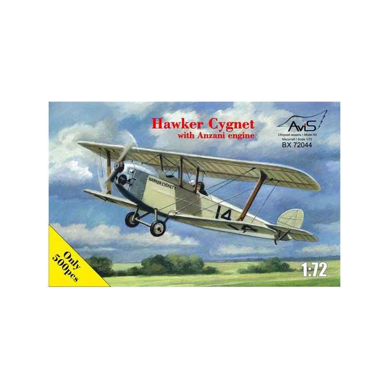 awker Cygnet with Anzani engine